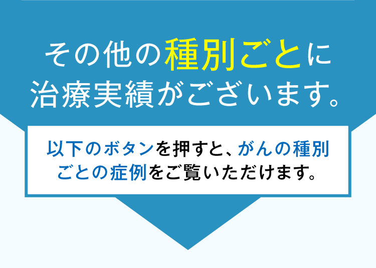 その他種別ごとにがんの治療実績がございます