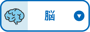 脳