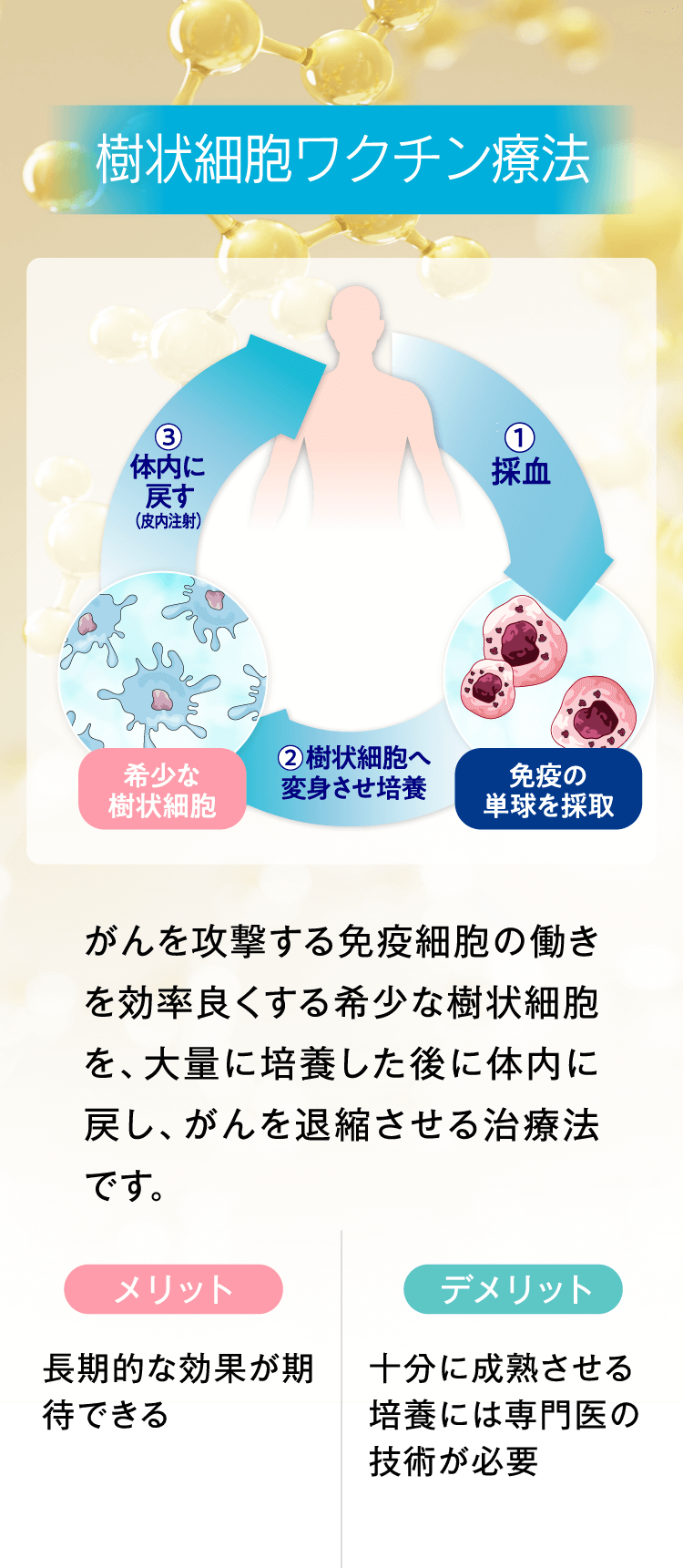 樹状細胞ワクチン療法